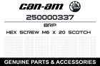 250000337 Brp Oem Exhaust Screw