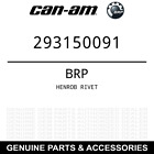 293150091 Brp Renegade Henrob Rivet
