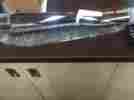 Cfrvex001 Cfr Exhausts Exhaust