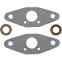 Cg719108519 Winderosa Exhaust Valve Gasket