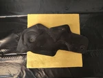 Ski Doo Heat Shield Cover Guard Panel 508001207. Fixed Price $30.00.