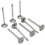 Gsc Power Division 2063-12 Exhaust Valve 23-8N Chrome Polished Set Of. Fixed Price $251.86.