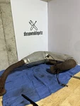 Arctic 2003 F5 / Firecat 500 Expansion Chamber Exhaust Pipe 0712-927. Fixed Price $85.00.