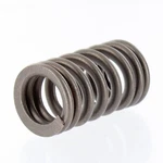 Polaris Snowmobile New Oem Frontier Intake/exhaust Spring Valve, 7041969. Fixed Price $13.99.