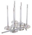 Gsc Fits P-d Ford Voodoo/predator 32.5MM Head Std 109.8MM Long Chrm Super Alloy. Fixed Price $307.86.