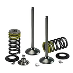 Spi-sport Part Psychic Exhaust Valve Kit XU-09550EK. Fixed Price $89.23.