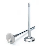 Supertech VWEVI-1002T-10 Inconel Exhaust Valve Set For Audi/vw 2.5T Fsi. Fixed Price $409.99.