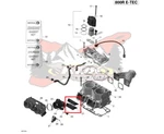 Ski-doo 800R Etec Reed Valve Assy 420924798. Fixed Price $96.99.