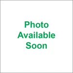 Speedwerx Competition L2 Series Mufflers Chrome AC6000M-6-CC. Fixed Price $455.95.