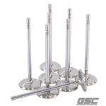 Gsc Power 2175-8 Super Alloy Std Size Exhaust Valve For The .2L Voodoo/predator. Fixed Price $334.62.