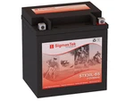 Brp (ski-doo) 600CC Skandic Ace, 2015-2018 Battery Replacement (385CCA). Fixed Price $77.99.