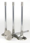 Gsc P-d 4B11T 23-8N Chrome Polished Exhaust Valve 29MM Head (std) Set. Fixed Price $154.59.