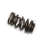 Spi Psychic Exhaust Valve Spring XU-09537ES. Fixed Price $25.95.