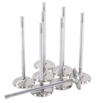 Gsc Power Division 2175-8 Exhaust Valve Set Ford 5.2L Voodoo / Predator. Fixed Price $334.95.