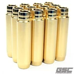 Gsc Power 3079-20 Exhaust Valve Guide For Audi R8 V10/LAMBORGINI Gallardo. Fixed Price $129.86.